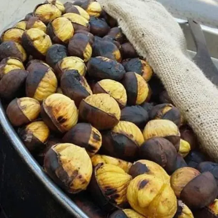 Nina's House, Nonno Pepe * Isca Marina