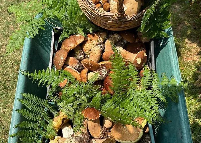 Nina's House, Nonno Pepe Apartment *