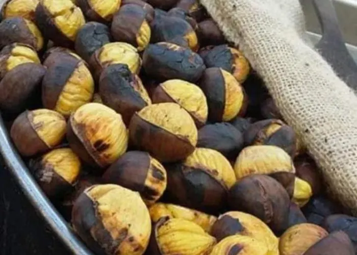 Nina's House, Nonno Pepe * Isca Marina