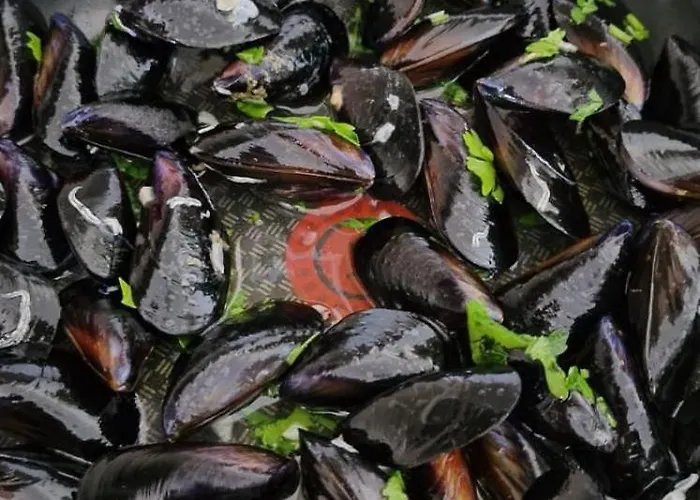 Nina's House, Nonno Pepe